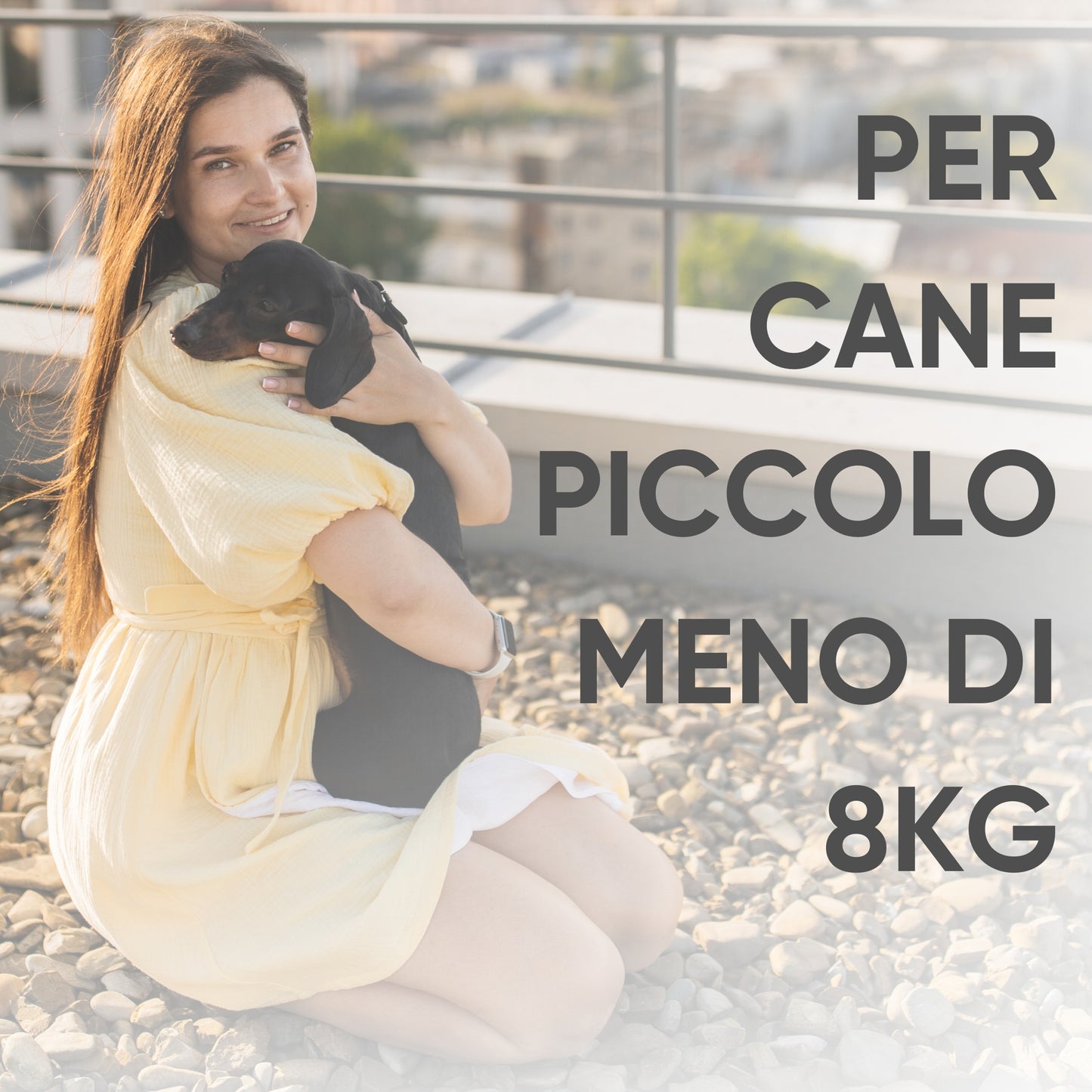 Collare Antiparassitario Per Cani di Alta Qualità (Per Cane < 8kg)