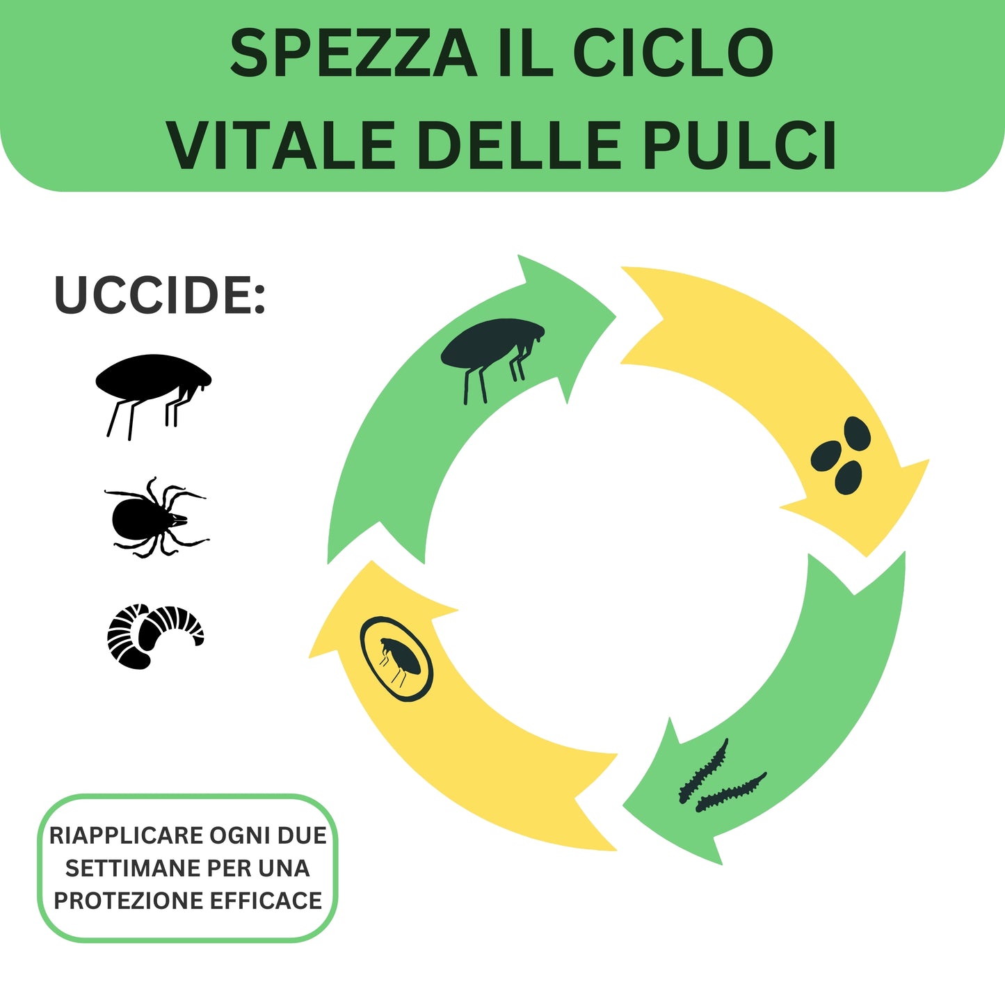Super Bau Bau Pipette Antiparassitario per Cani