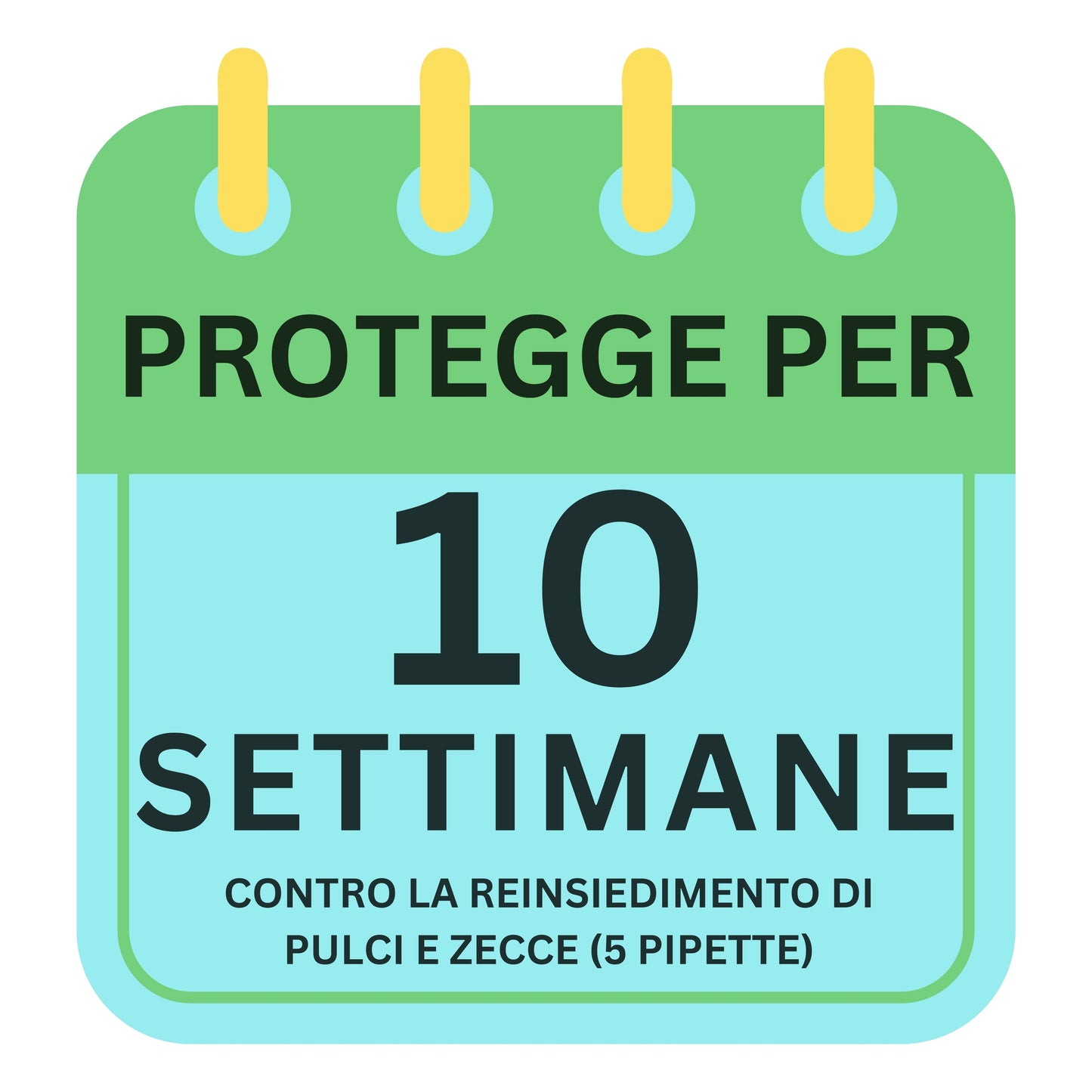 Super Bau Bau Pipette Antiparassitario per Cani