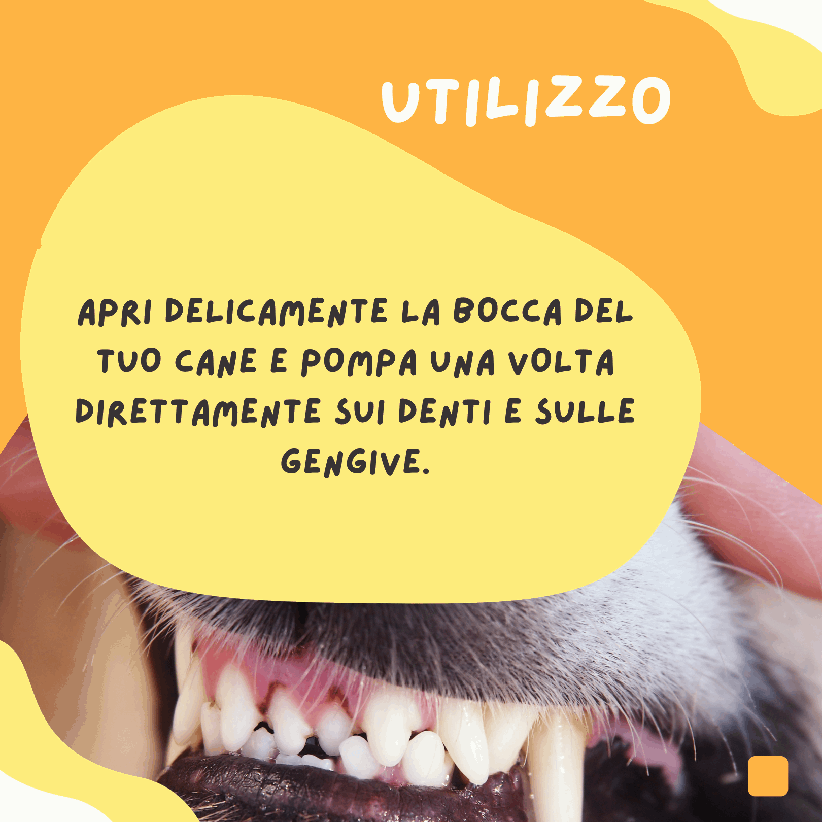Istruzioni-utilizzo