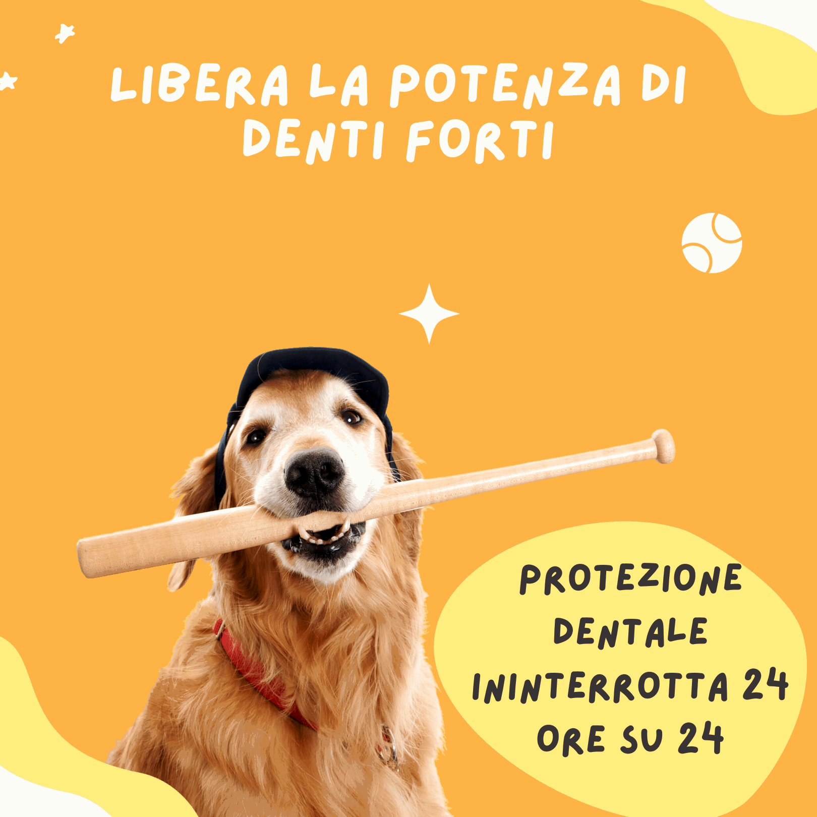 istruzione-sulla-durata